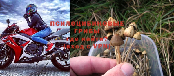 стафф Семилуки