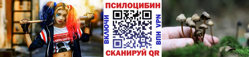 Галлюциногенные грибы прущие грибы  Могоча 