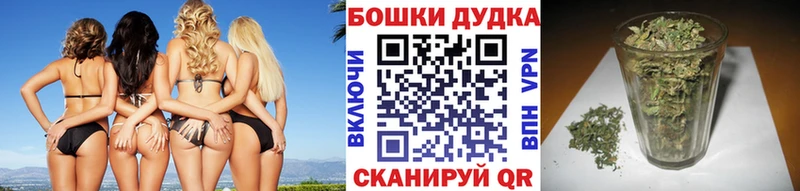 Марихуана конопля Могоча
